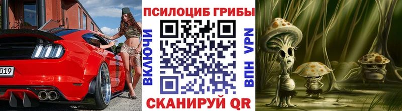 Галлюциногенные грибы Psilocybine cubensis  наркотики  Задонск 